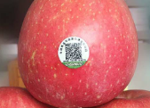 苹果水果产品质量溯源系统